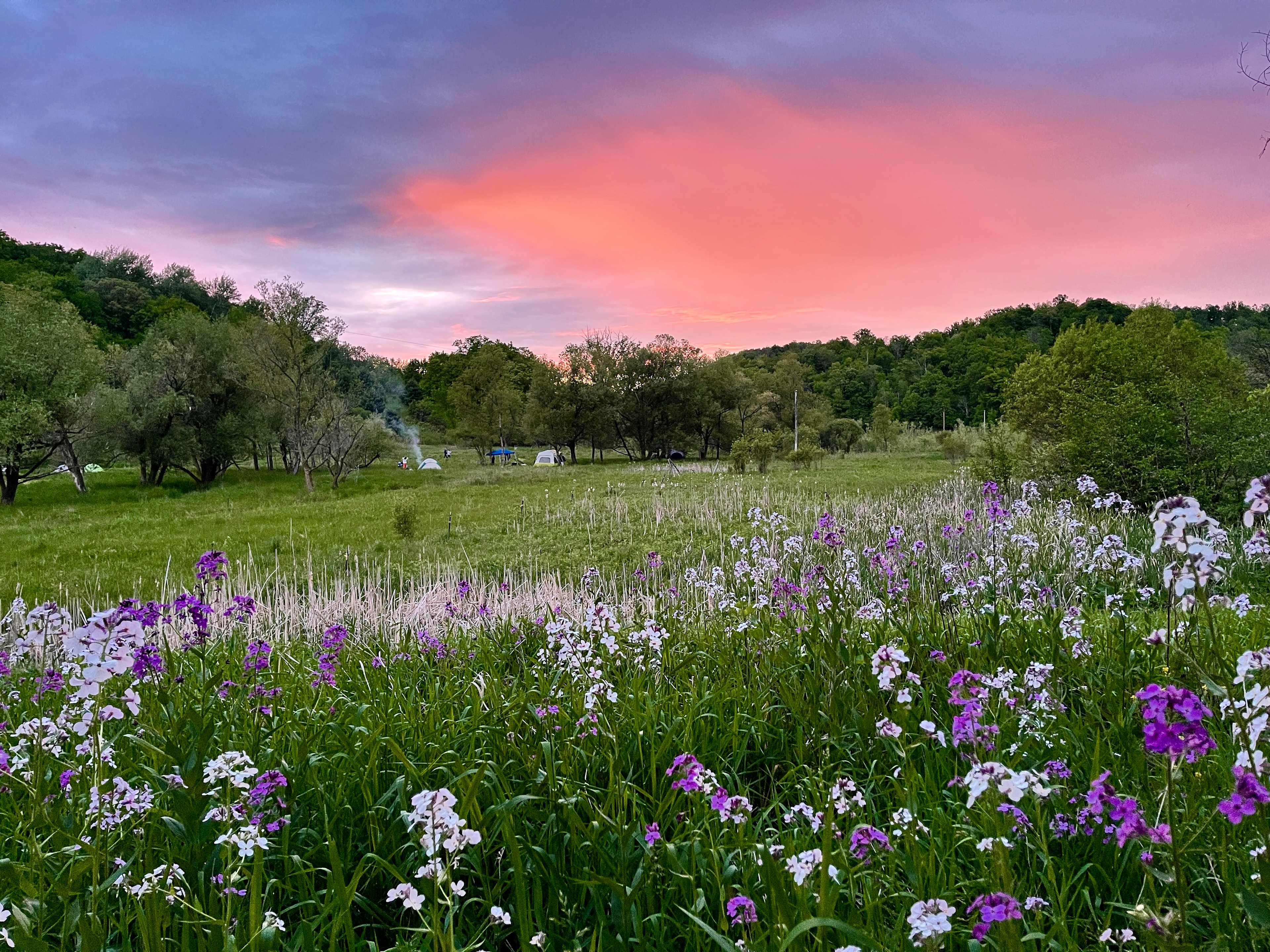 Beautiful springtime view from the north side of the tobacco barn.
