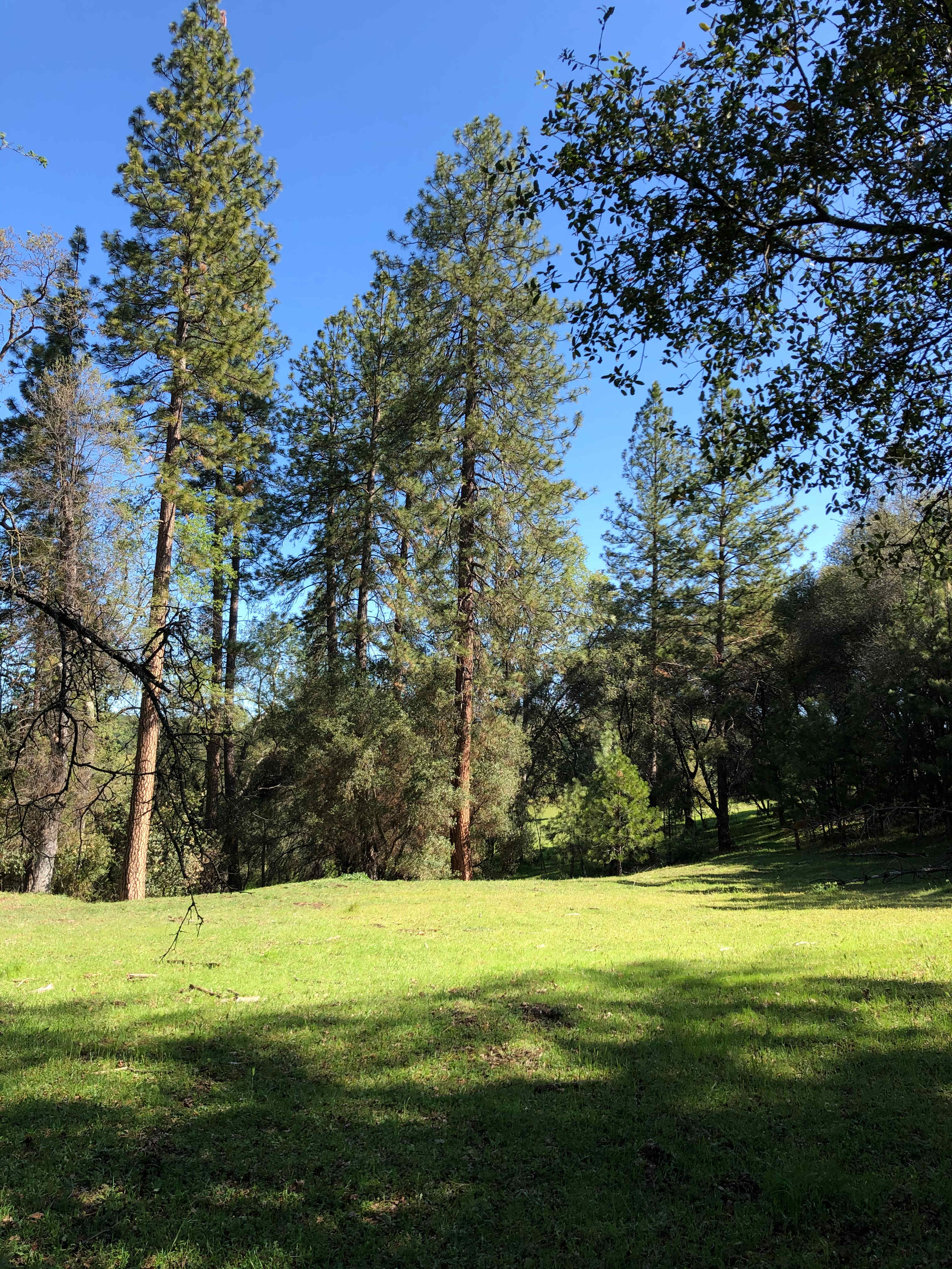 Diamond Gulch