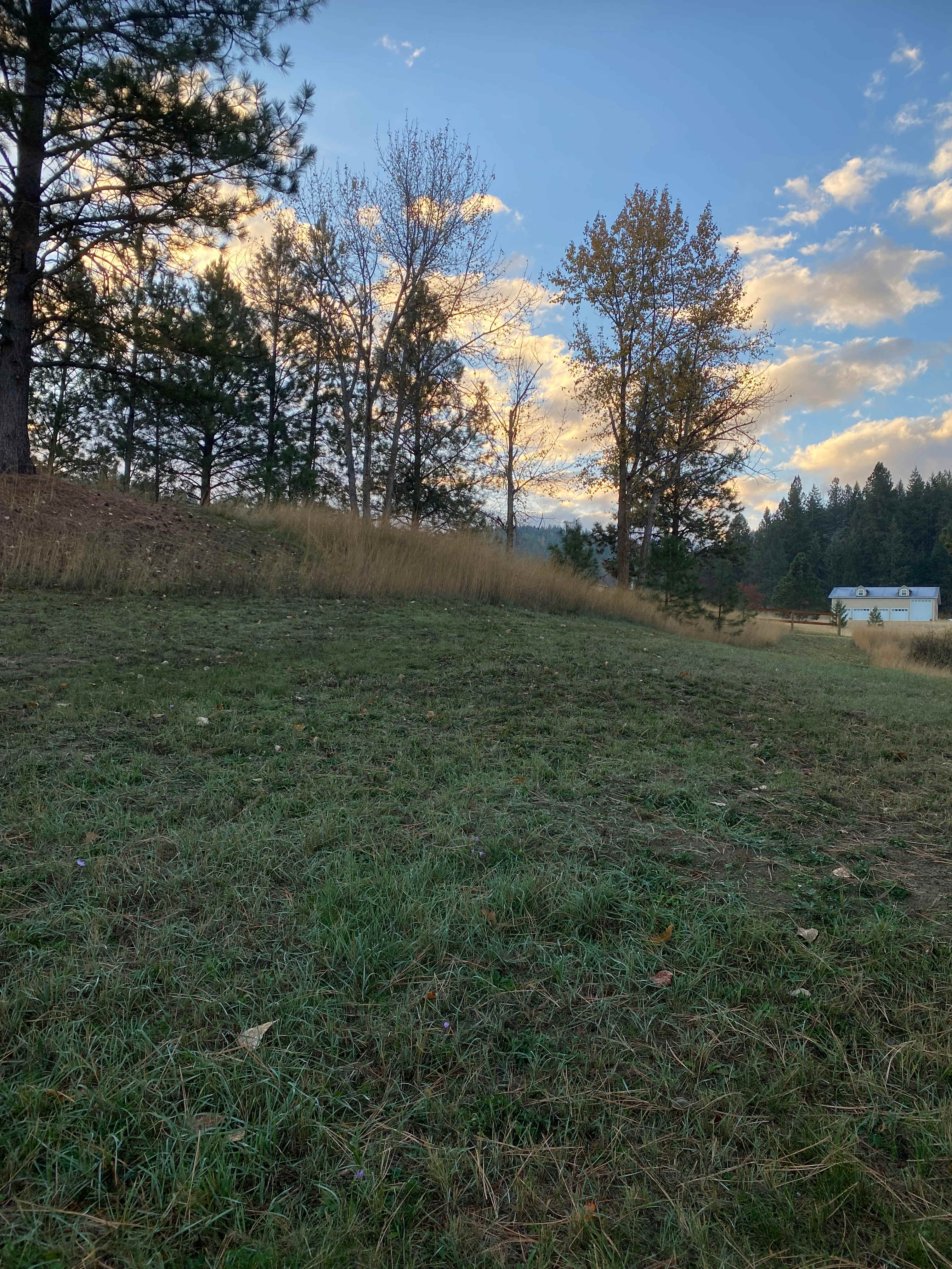 Coyote Flats