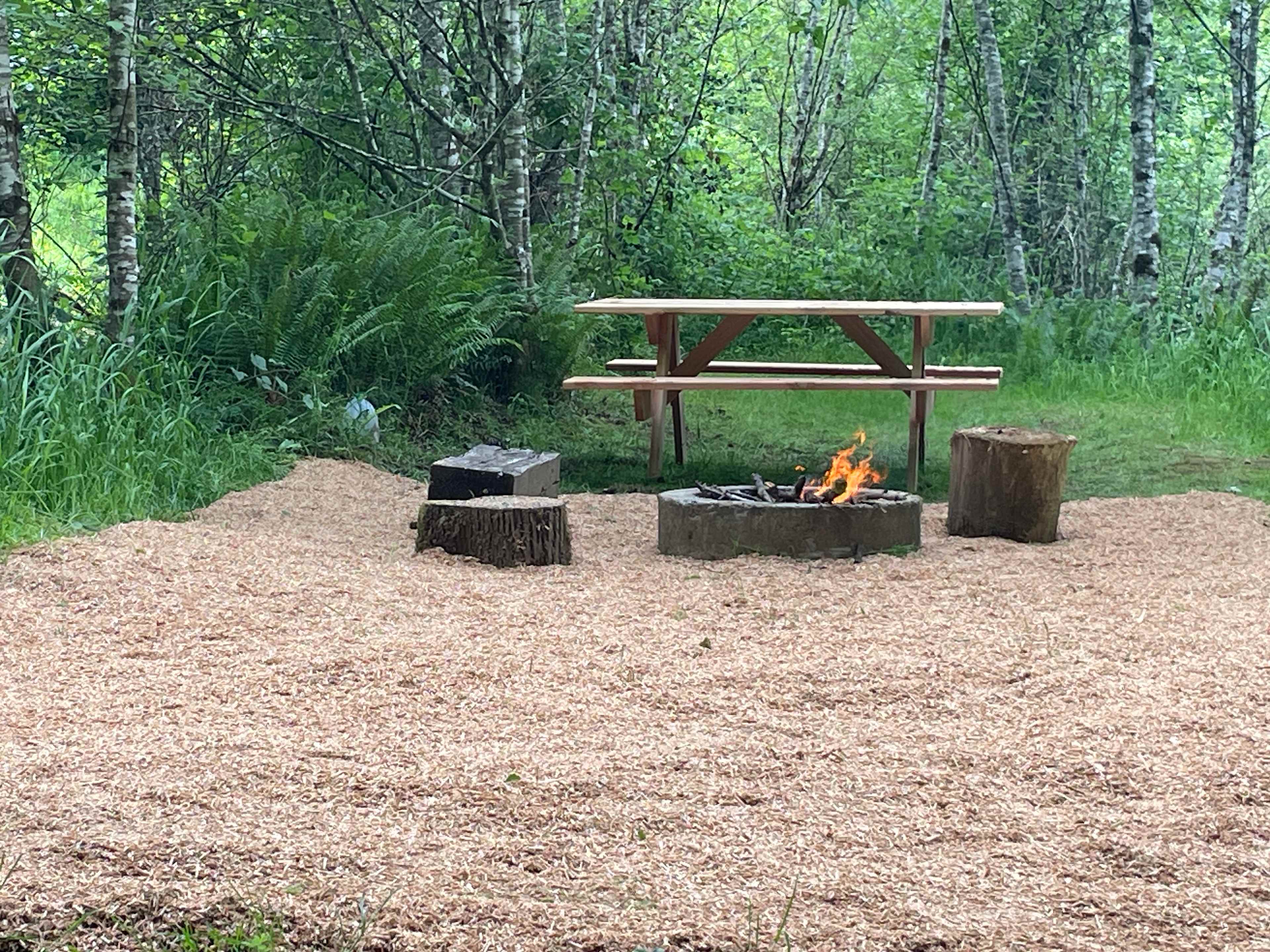 Picture of the site