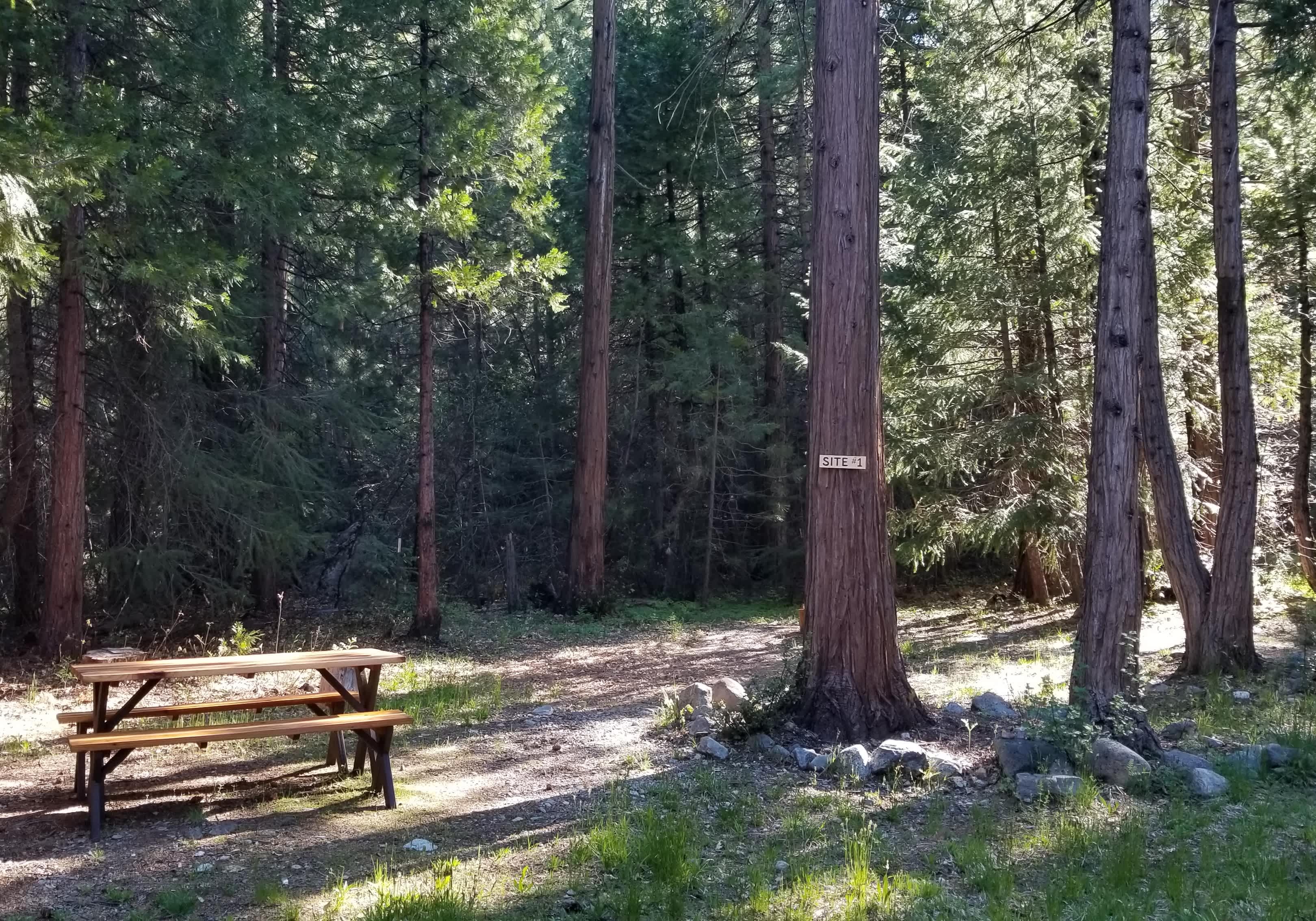 Bright Bear Camp in Tahoe NF