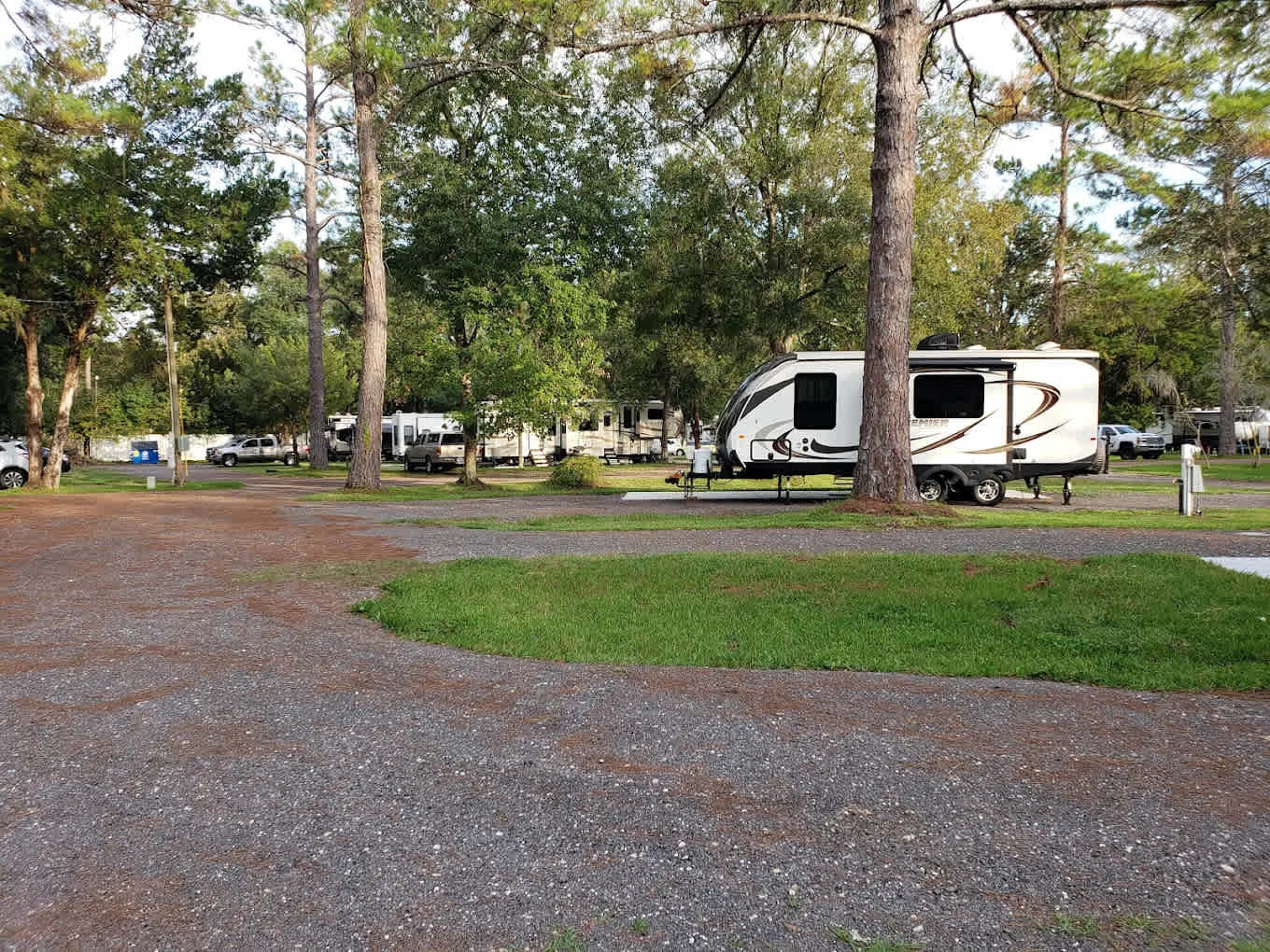 Big Tree RV Park