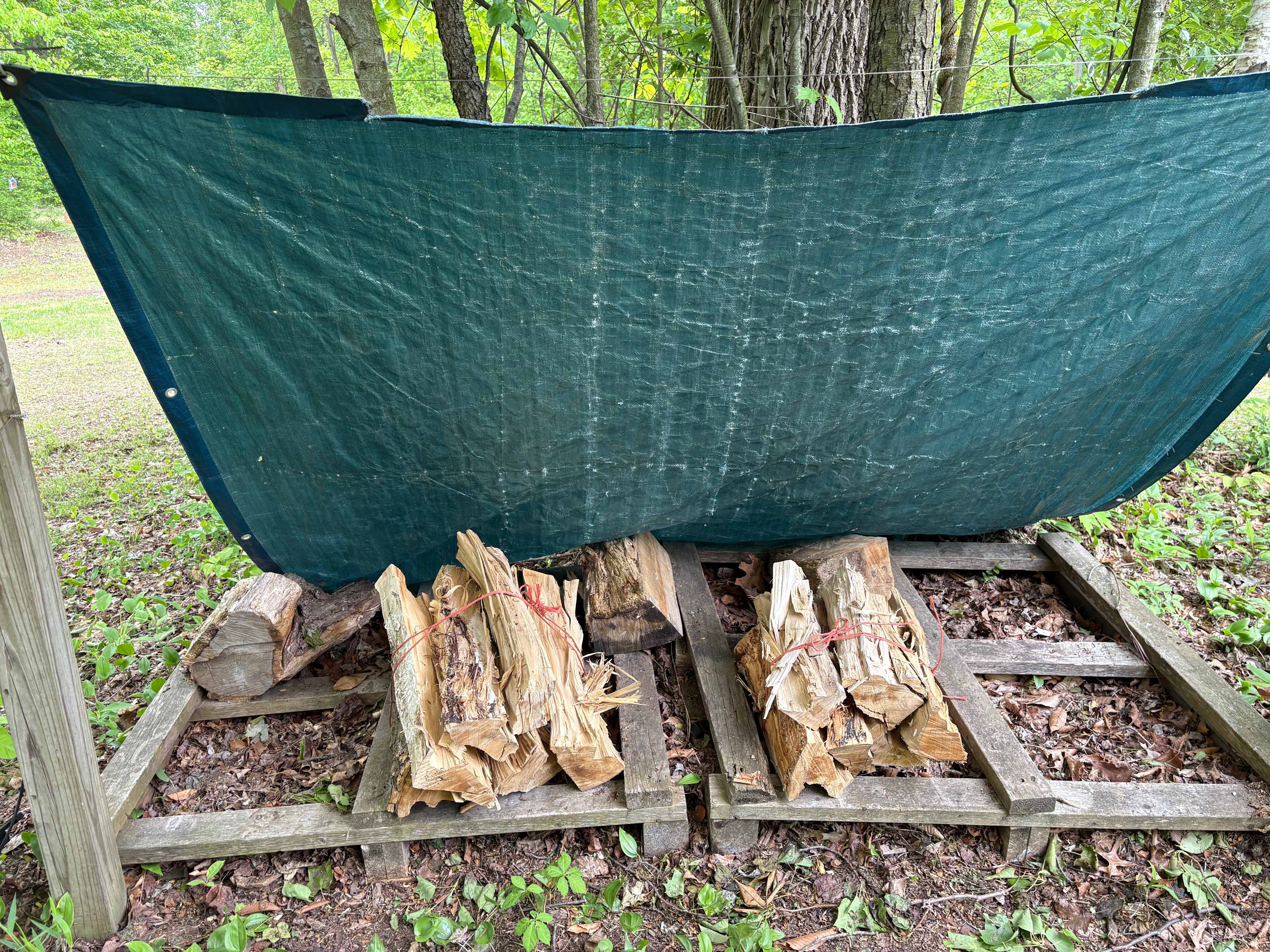 BYO tent camp in Michiana