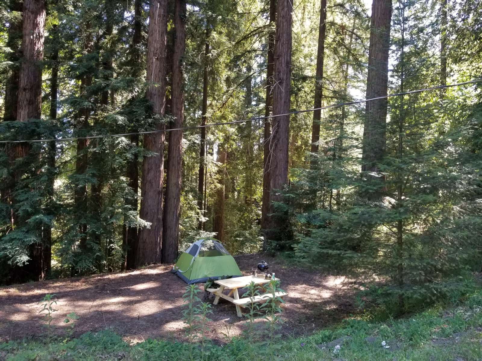 Picture of the site