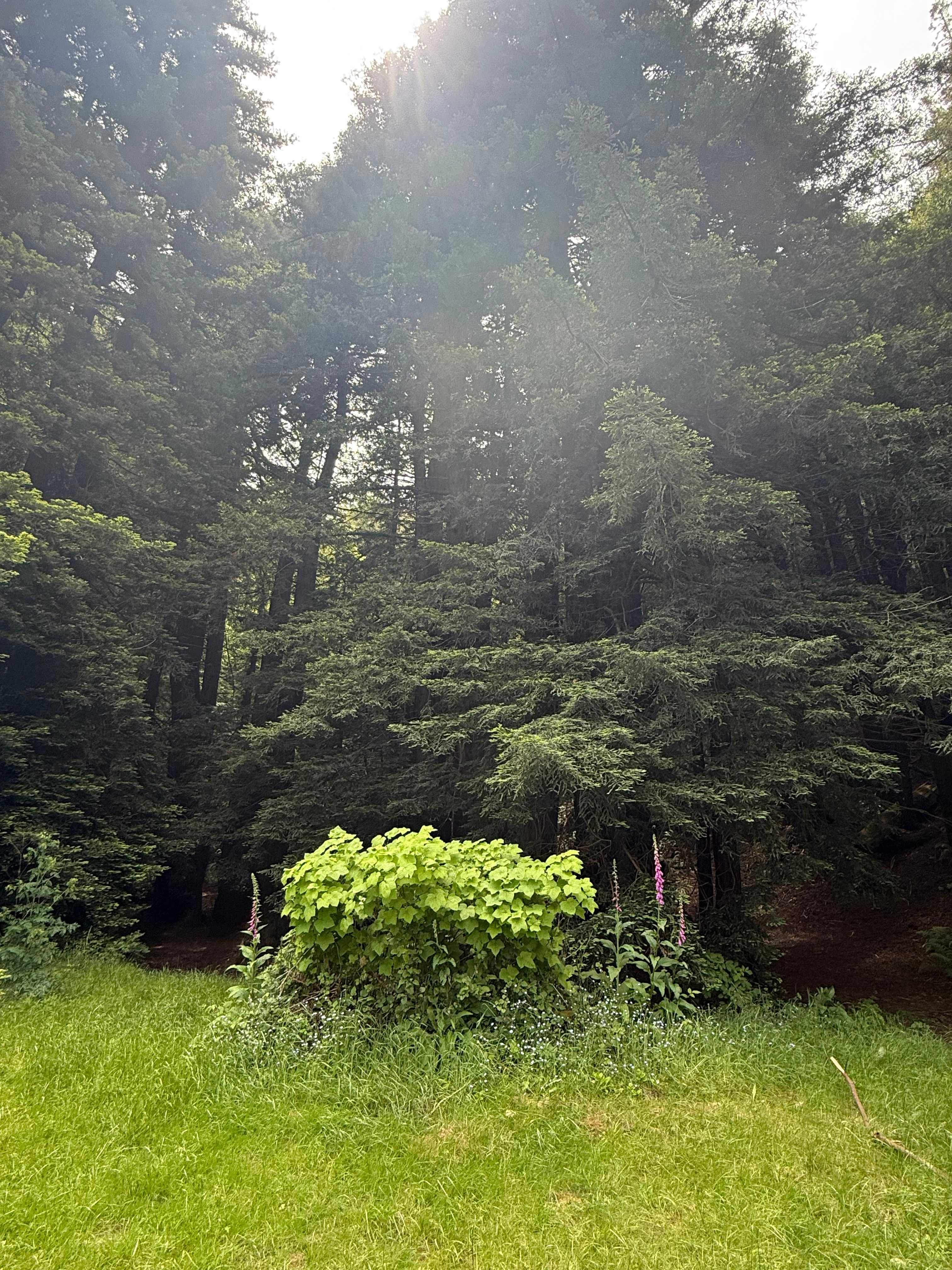 Salmon Creek Ranch