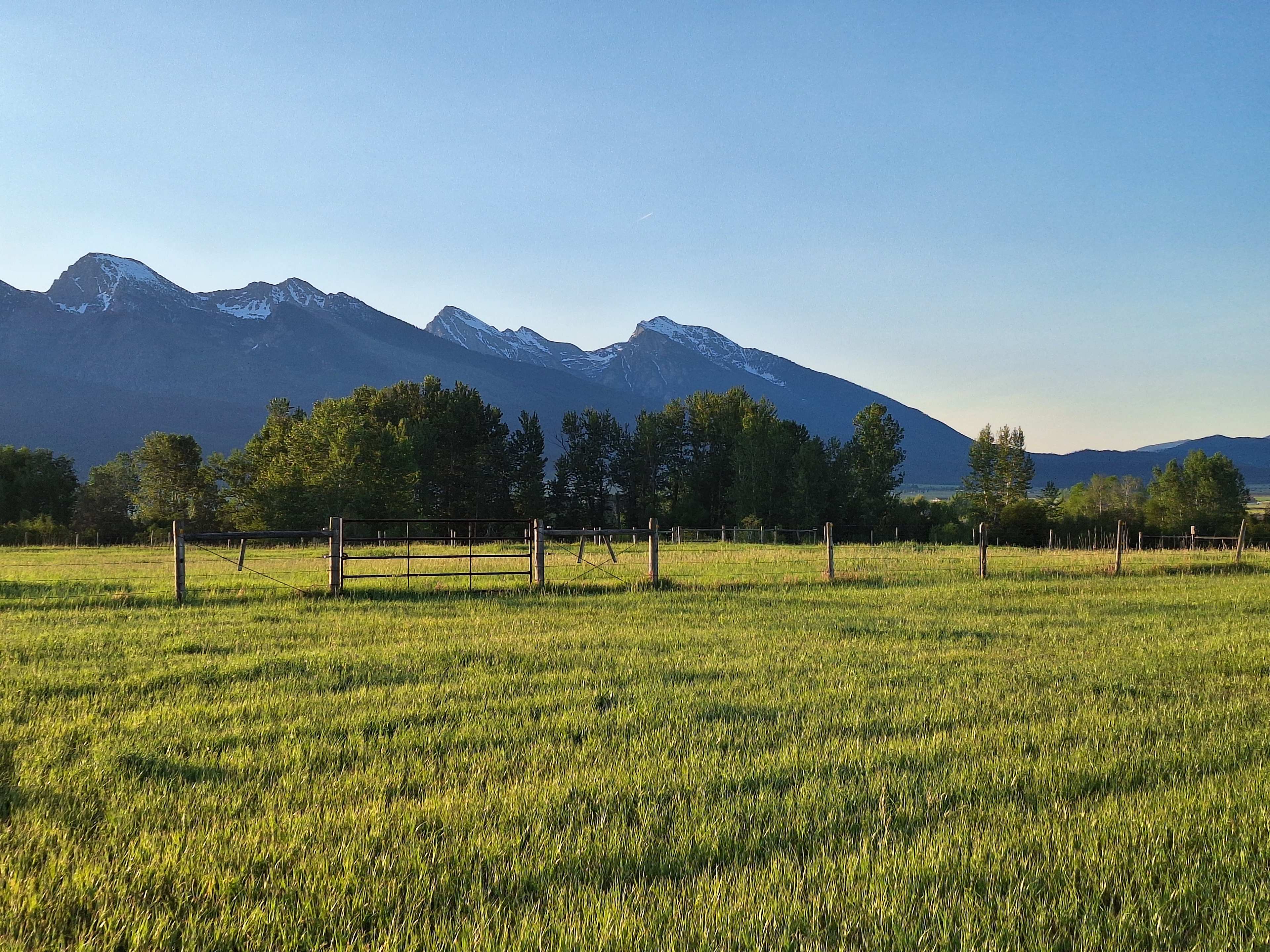 Mission Mountain Field of Dreams