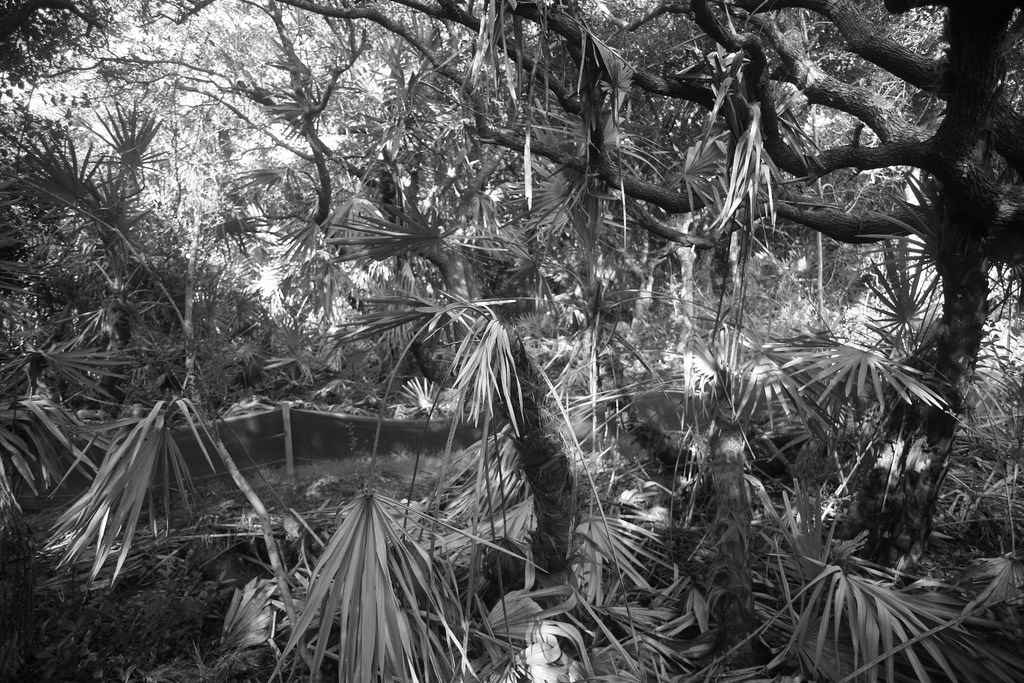 Gamble Rogers Memorial State Recreation Area