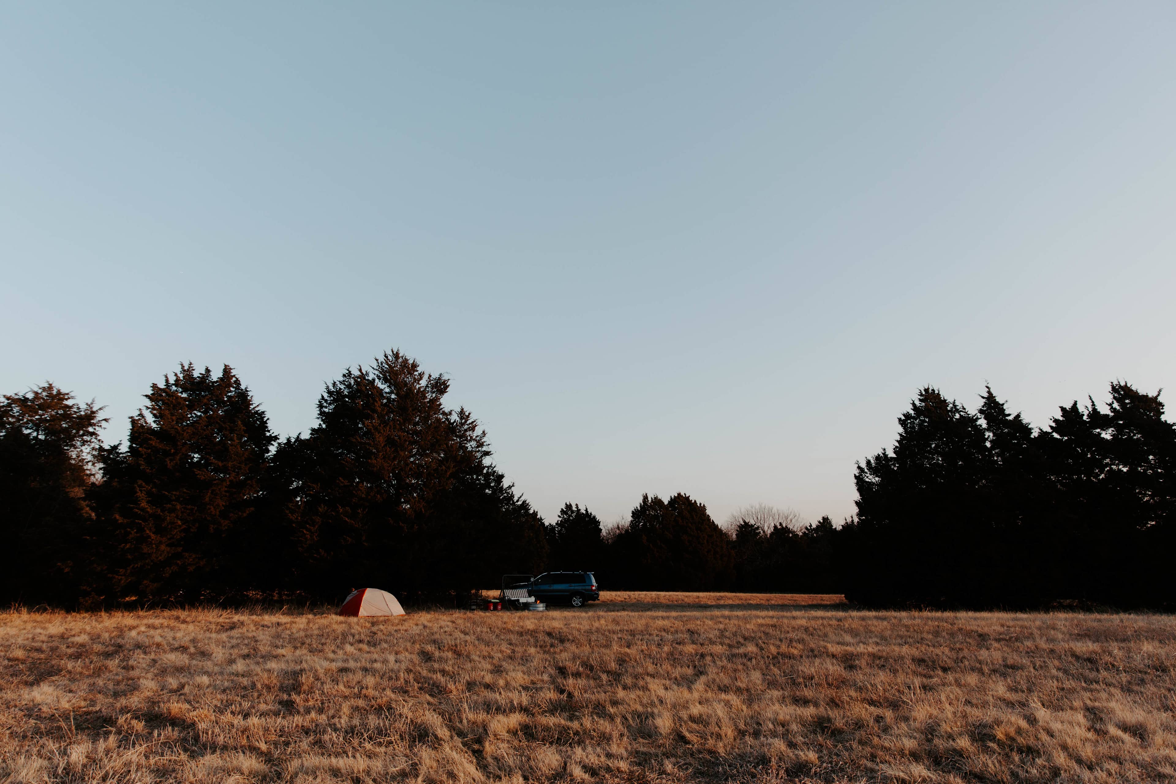 Looking at the open space.