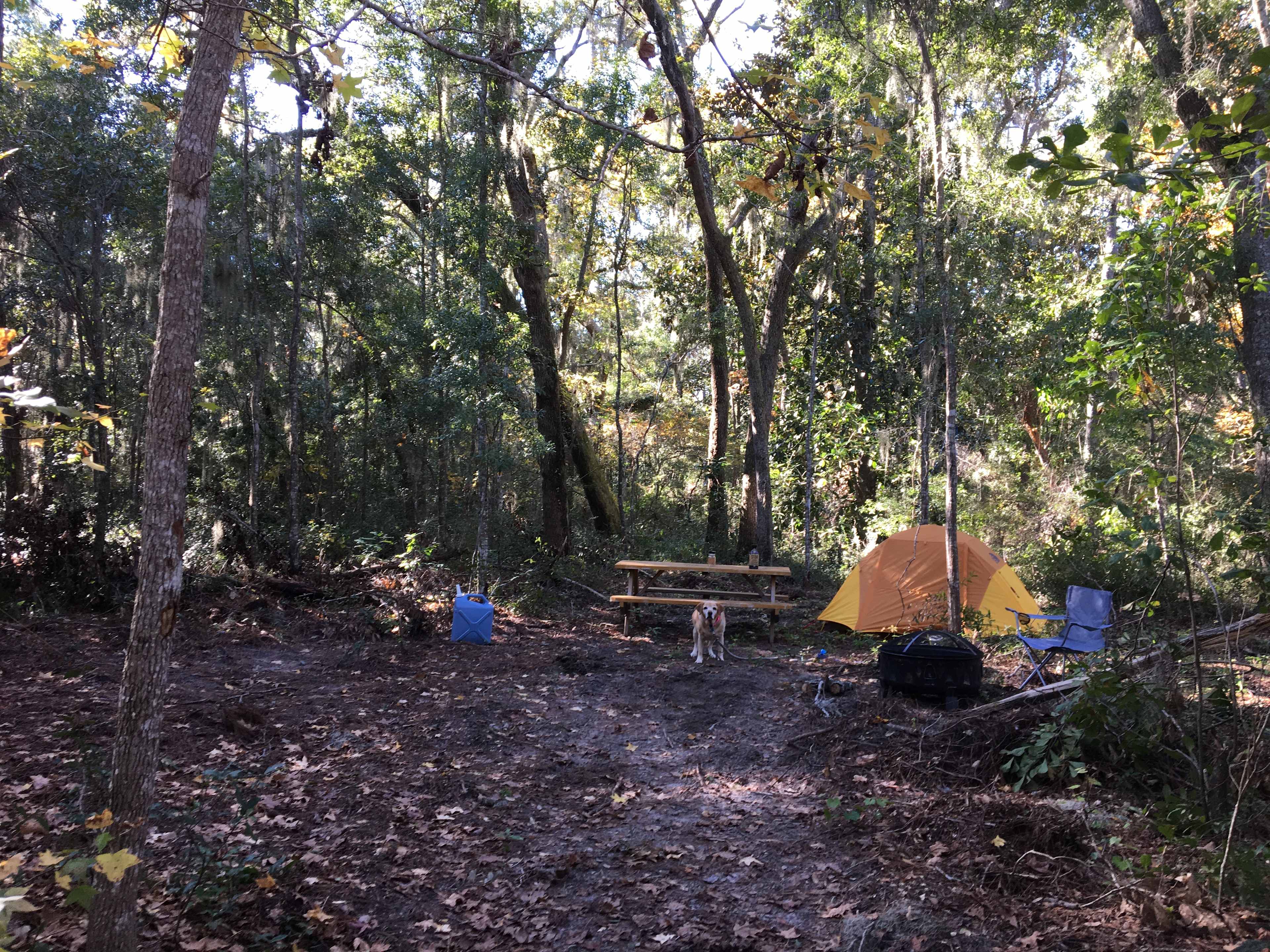 Picture of the site