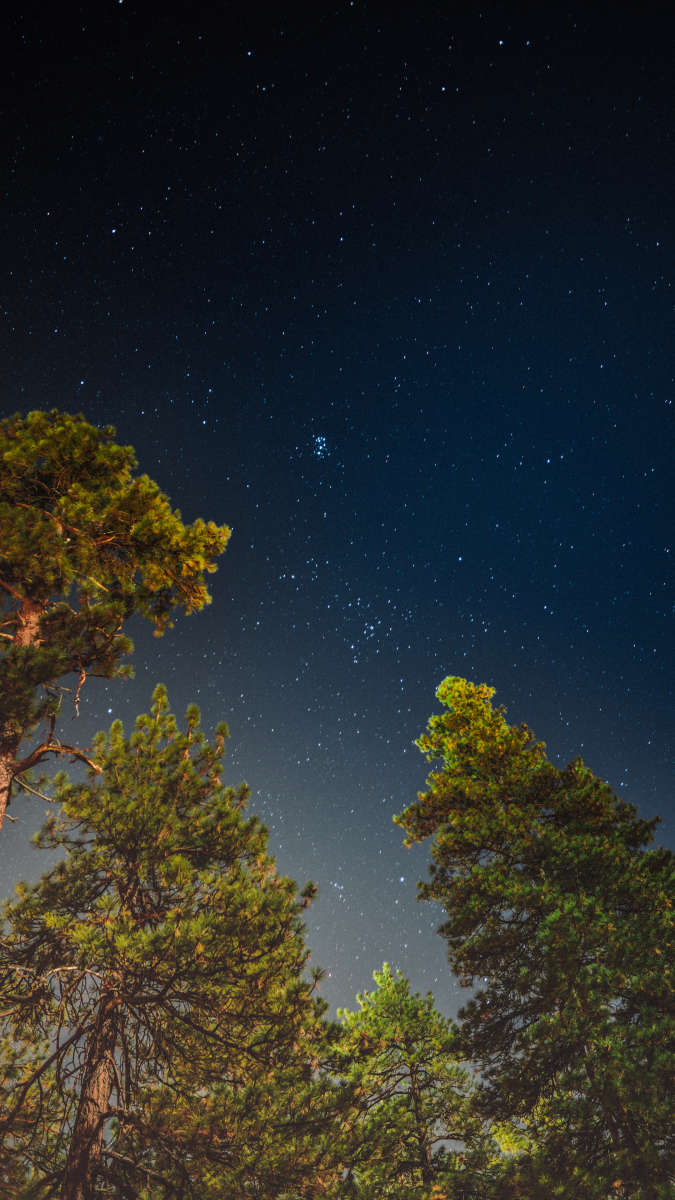 Camping Under The Stars