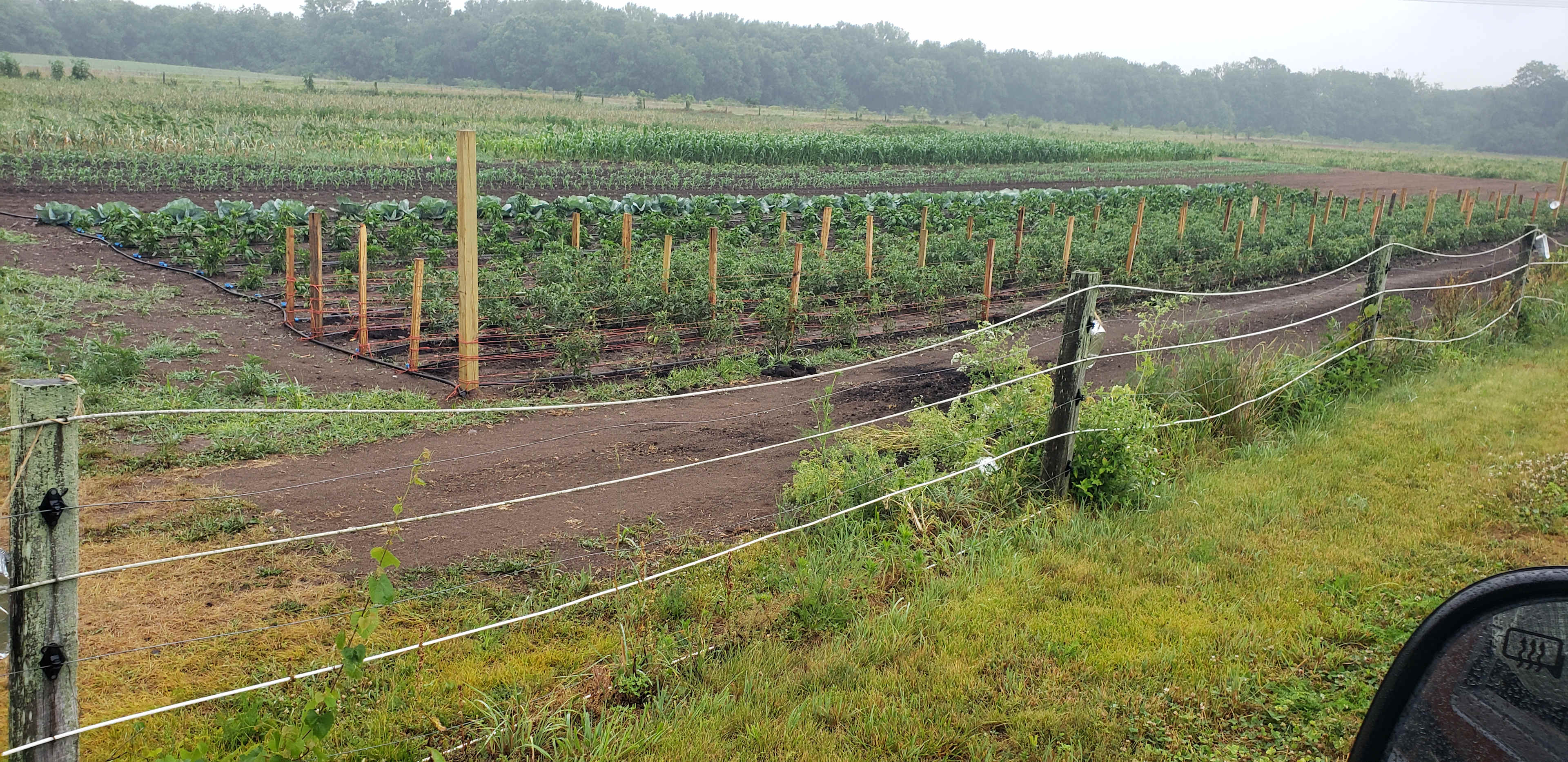Picture of the site