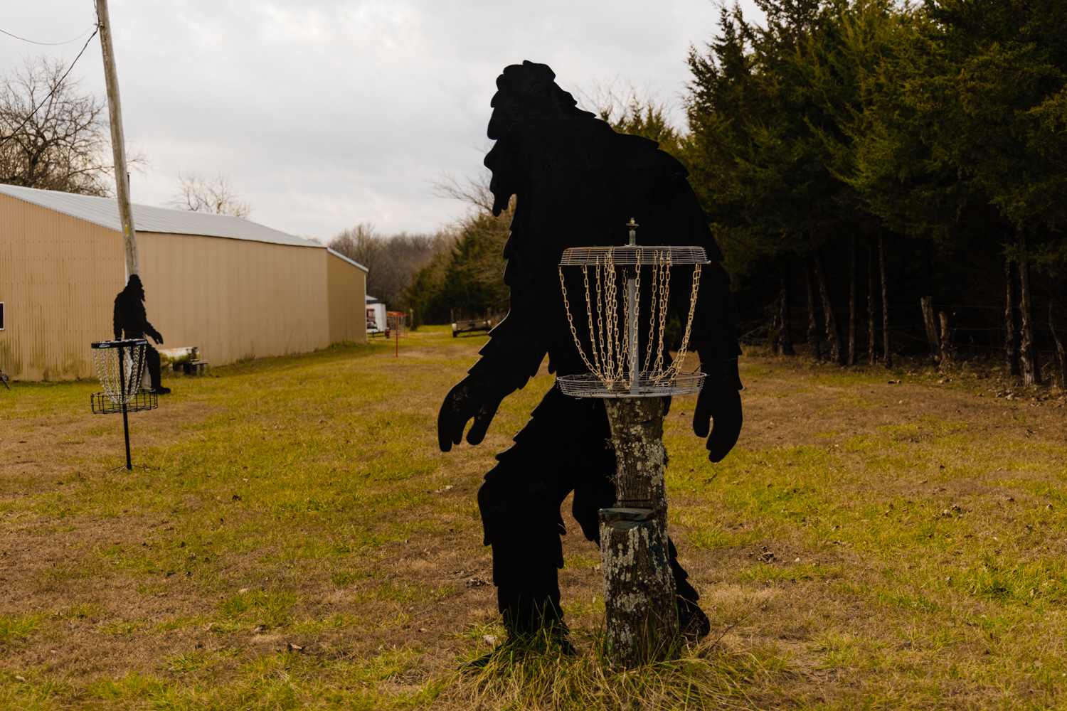 The disc golf set up was awesome!
