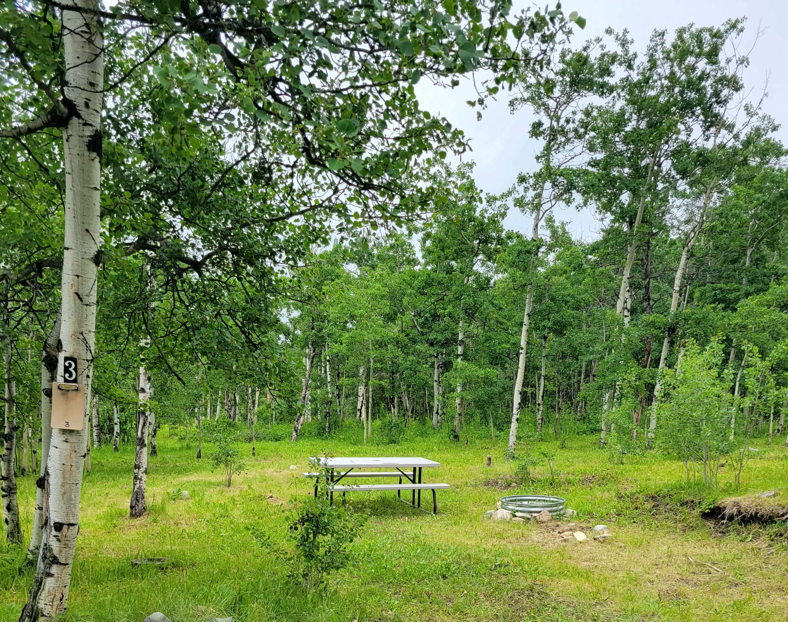 Picture of the site