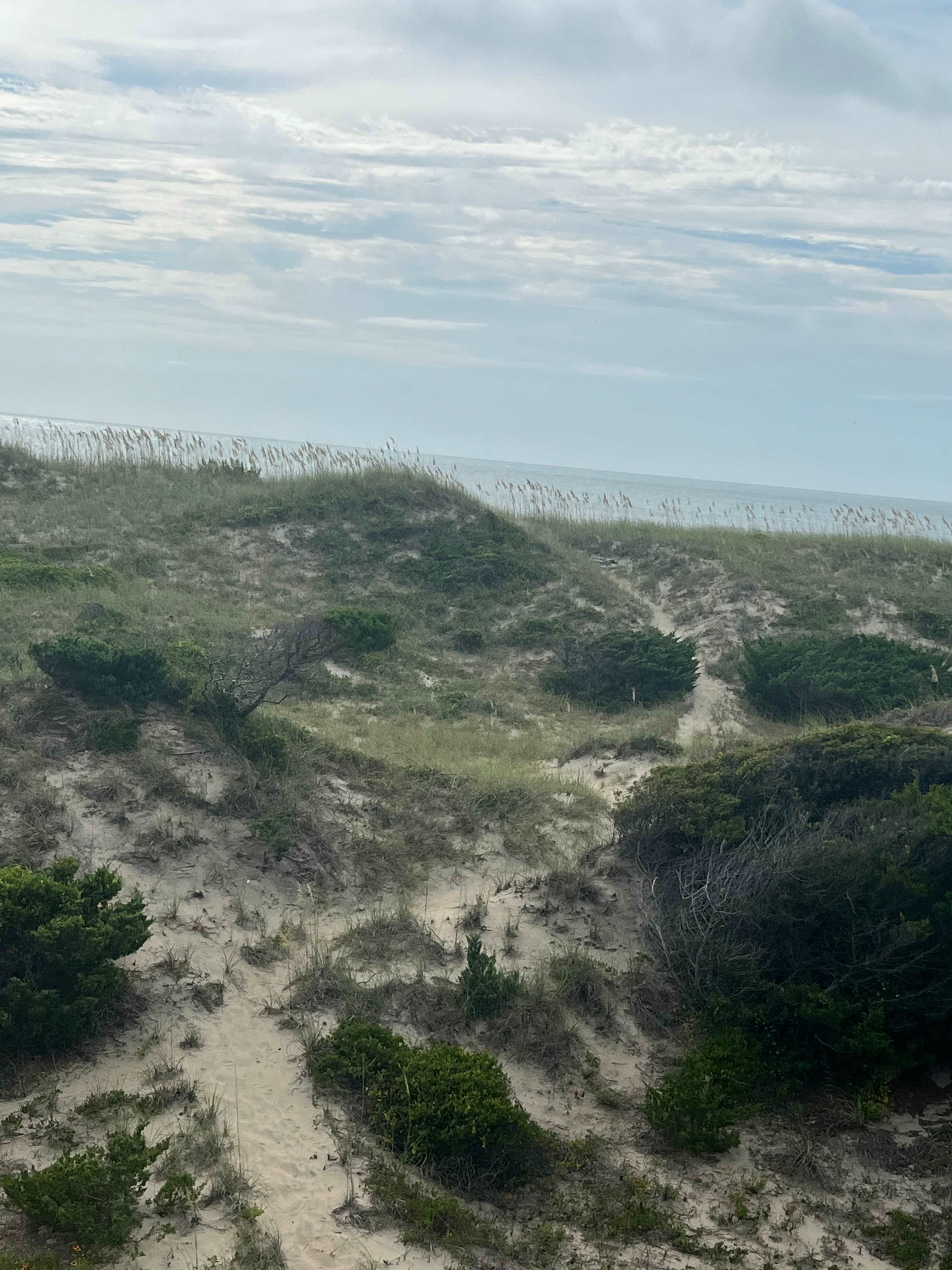 walkway to beach