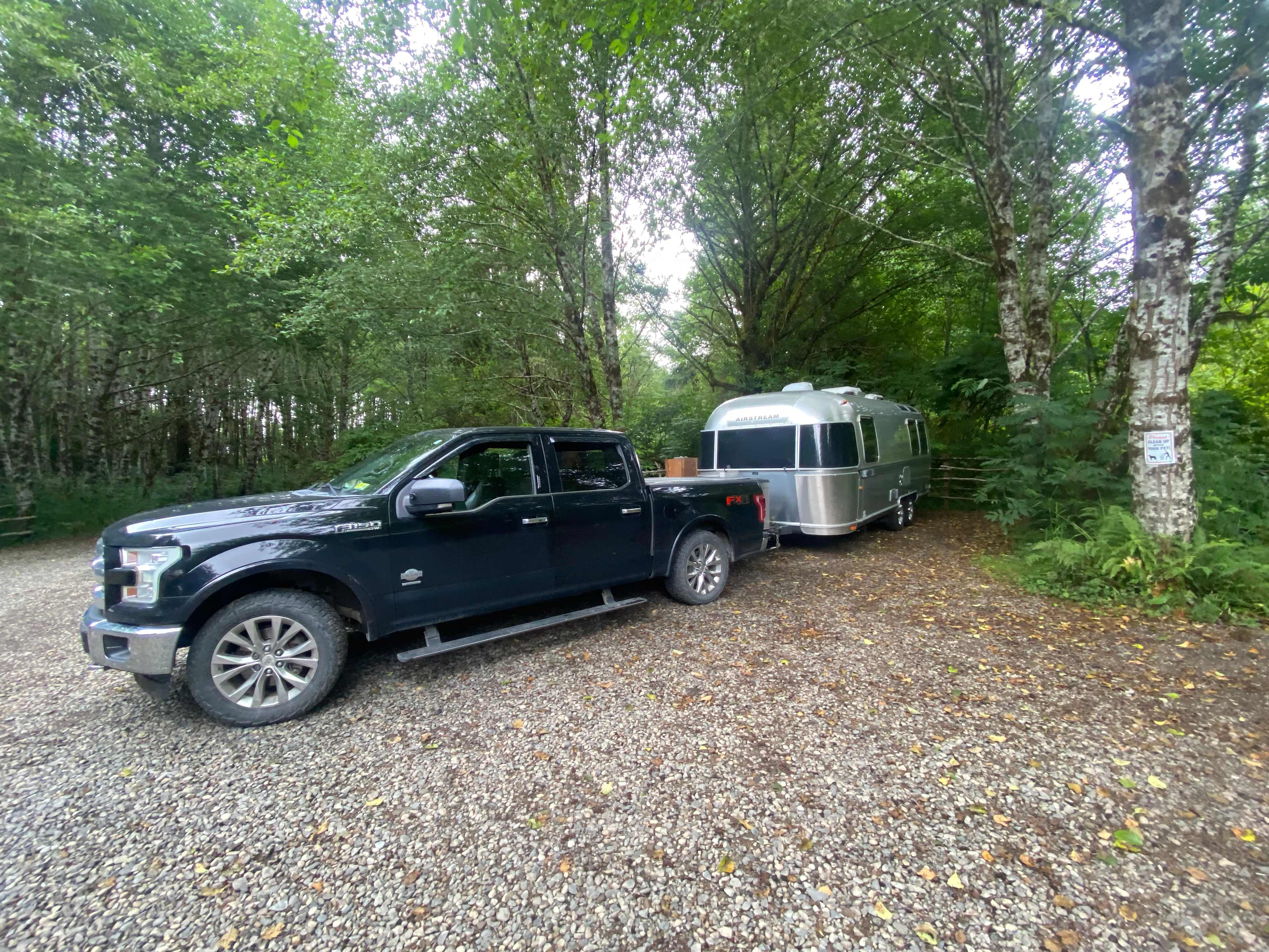 Picture of the site