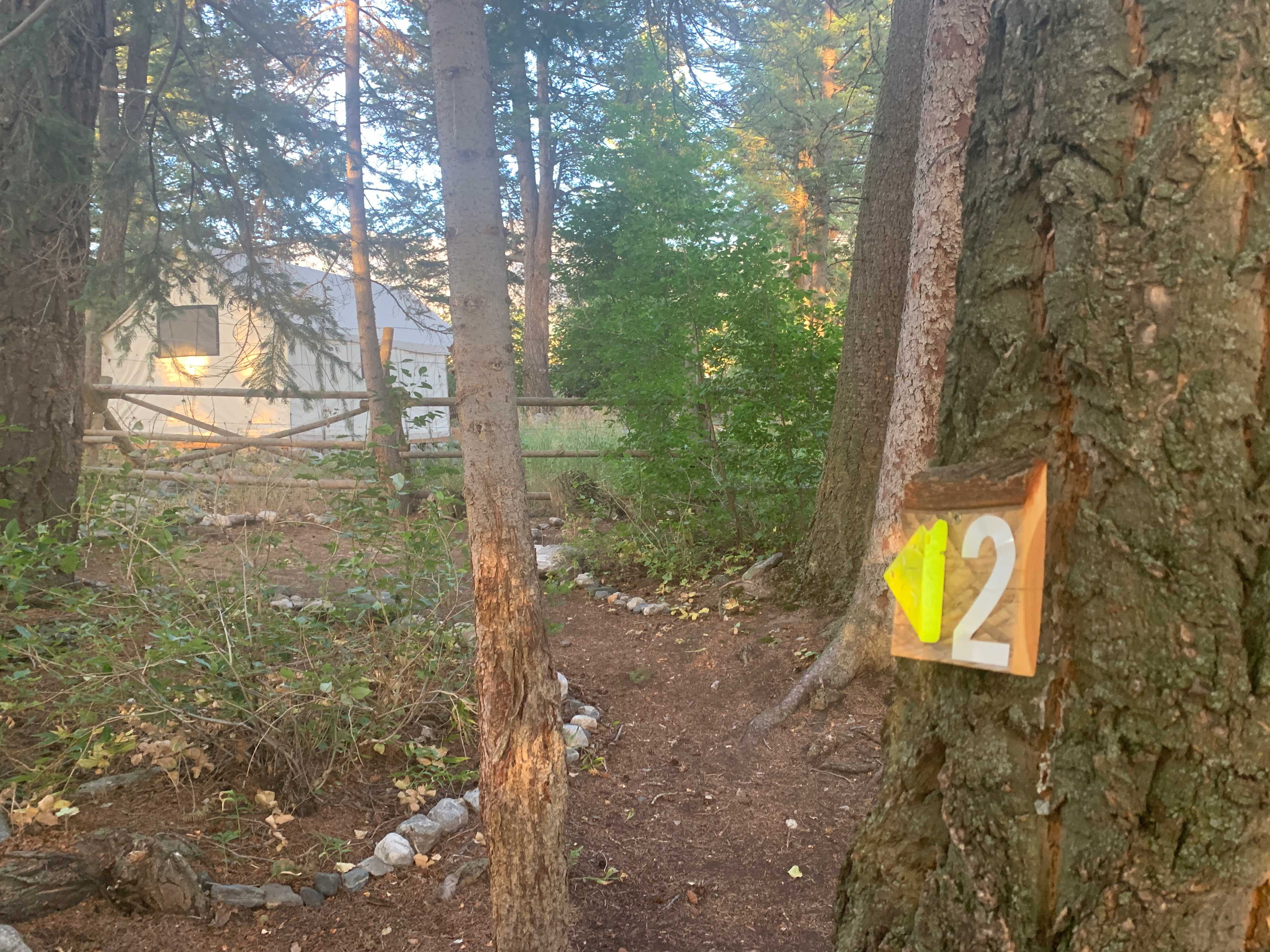Picture of the site