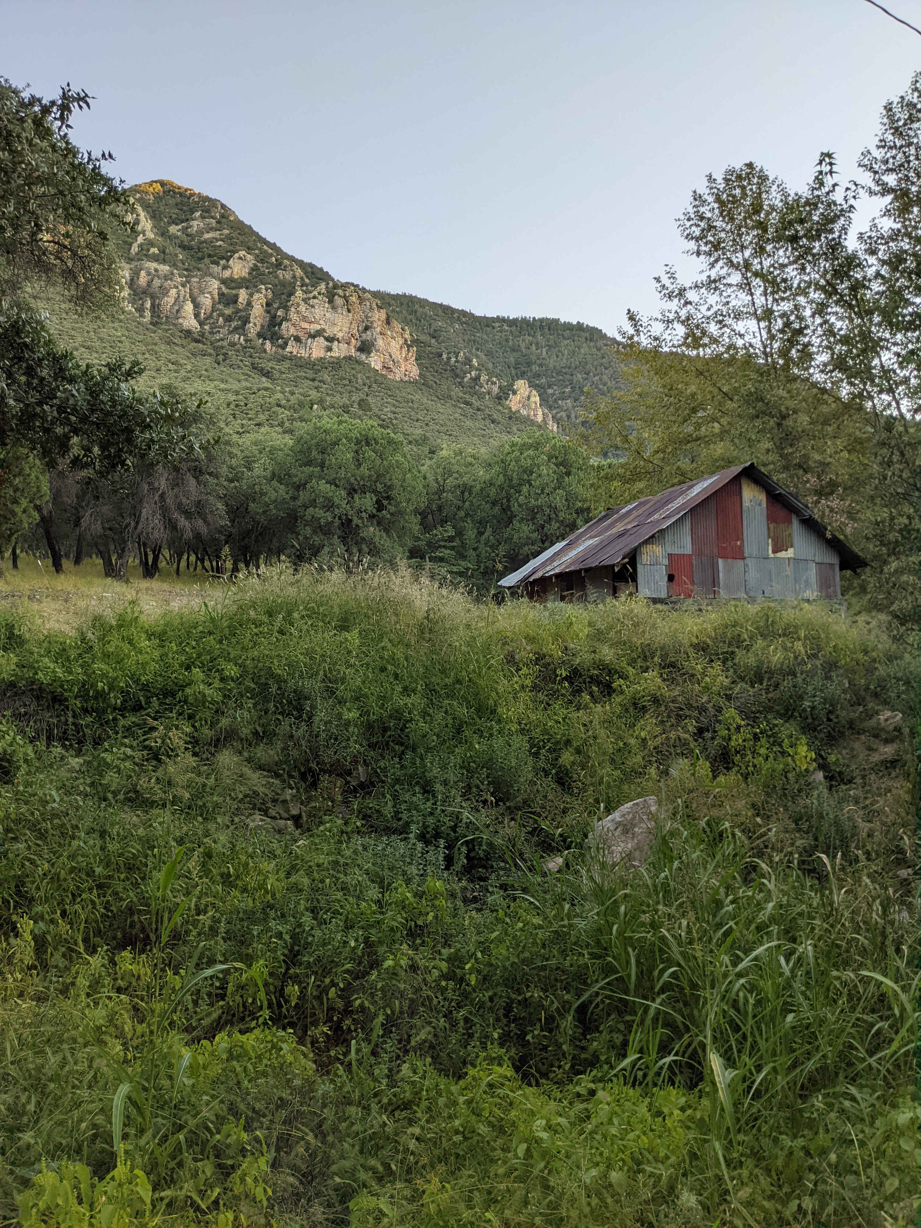 Ramsey Canyon Cabins&Bird Sanctuary