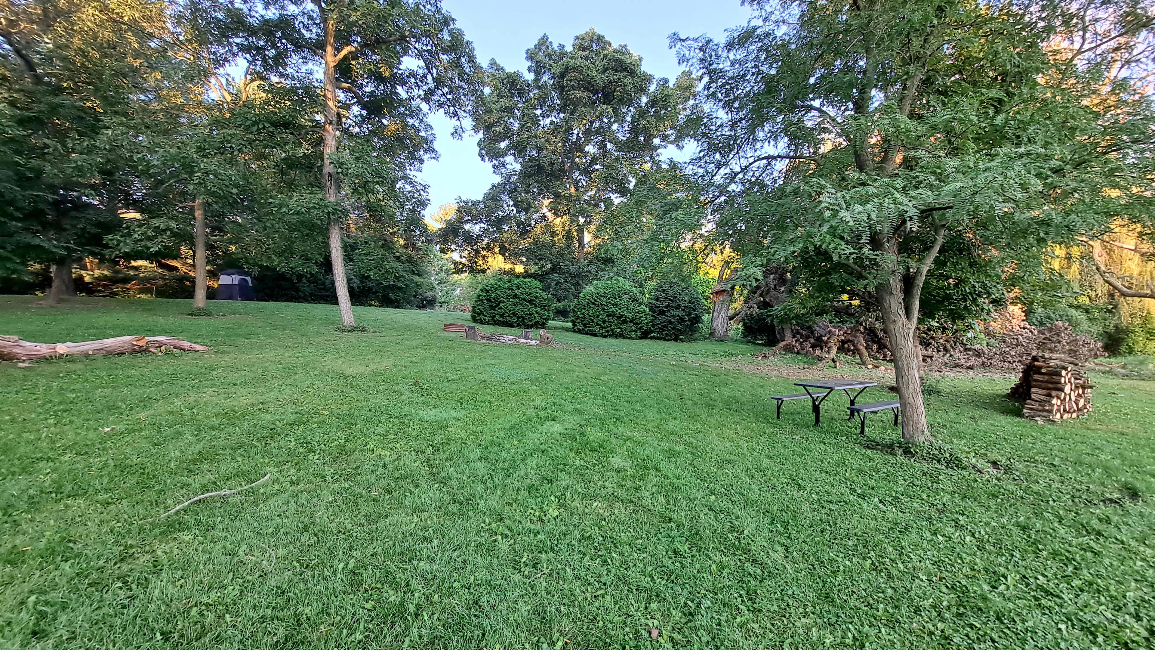 Picture of the site