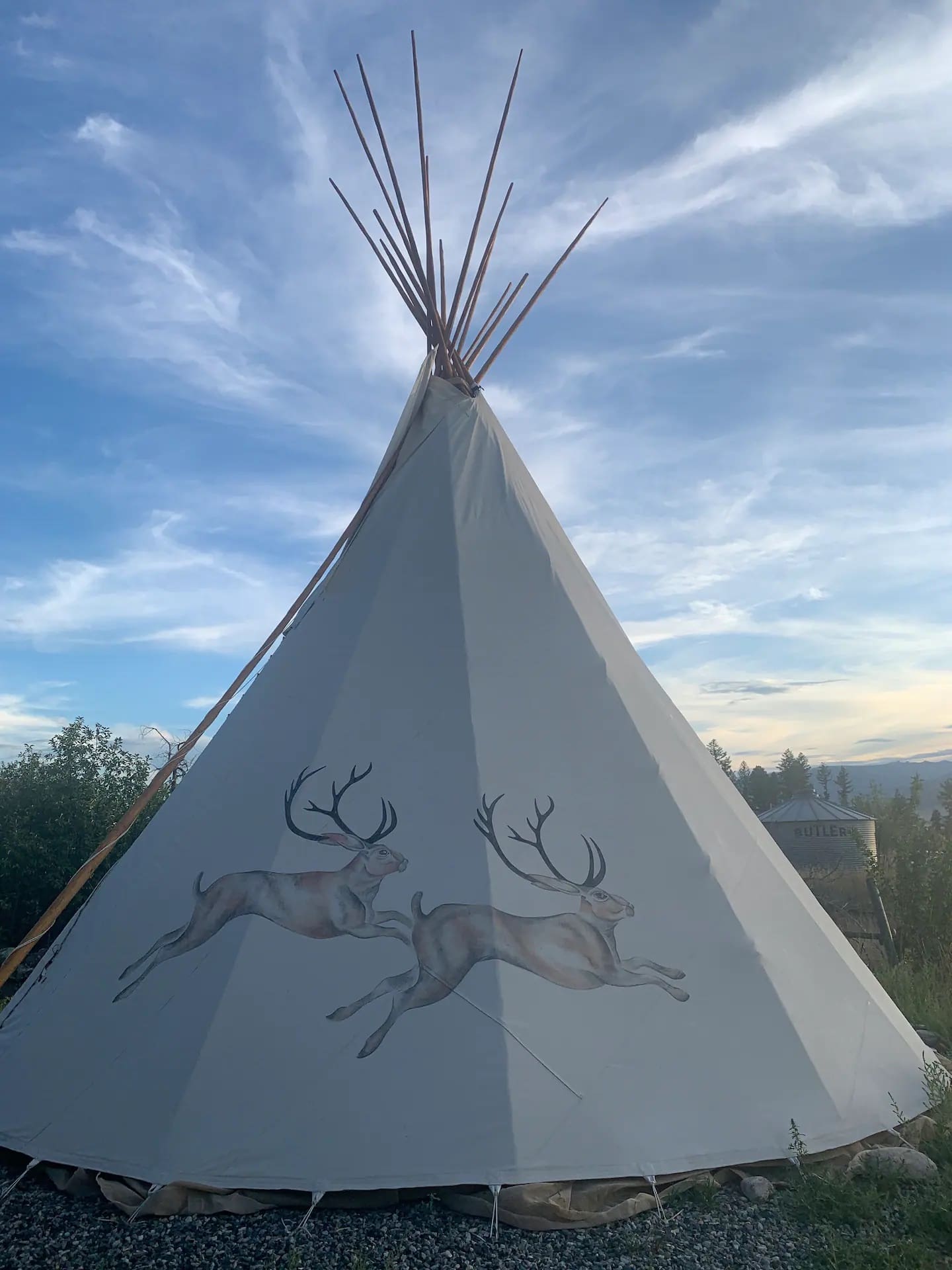 Picture of the site