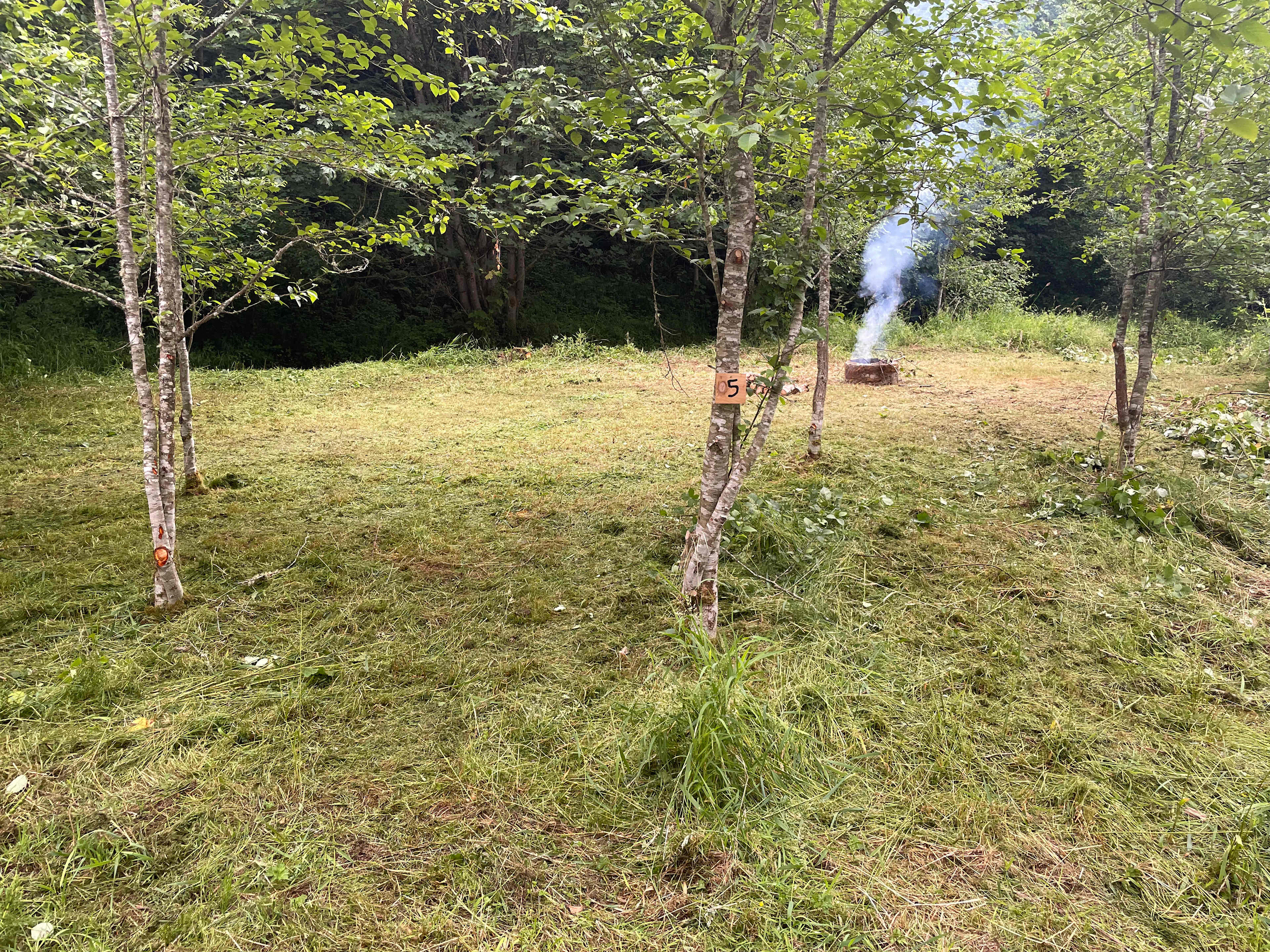 Picture of the site