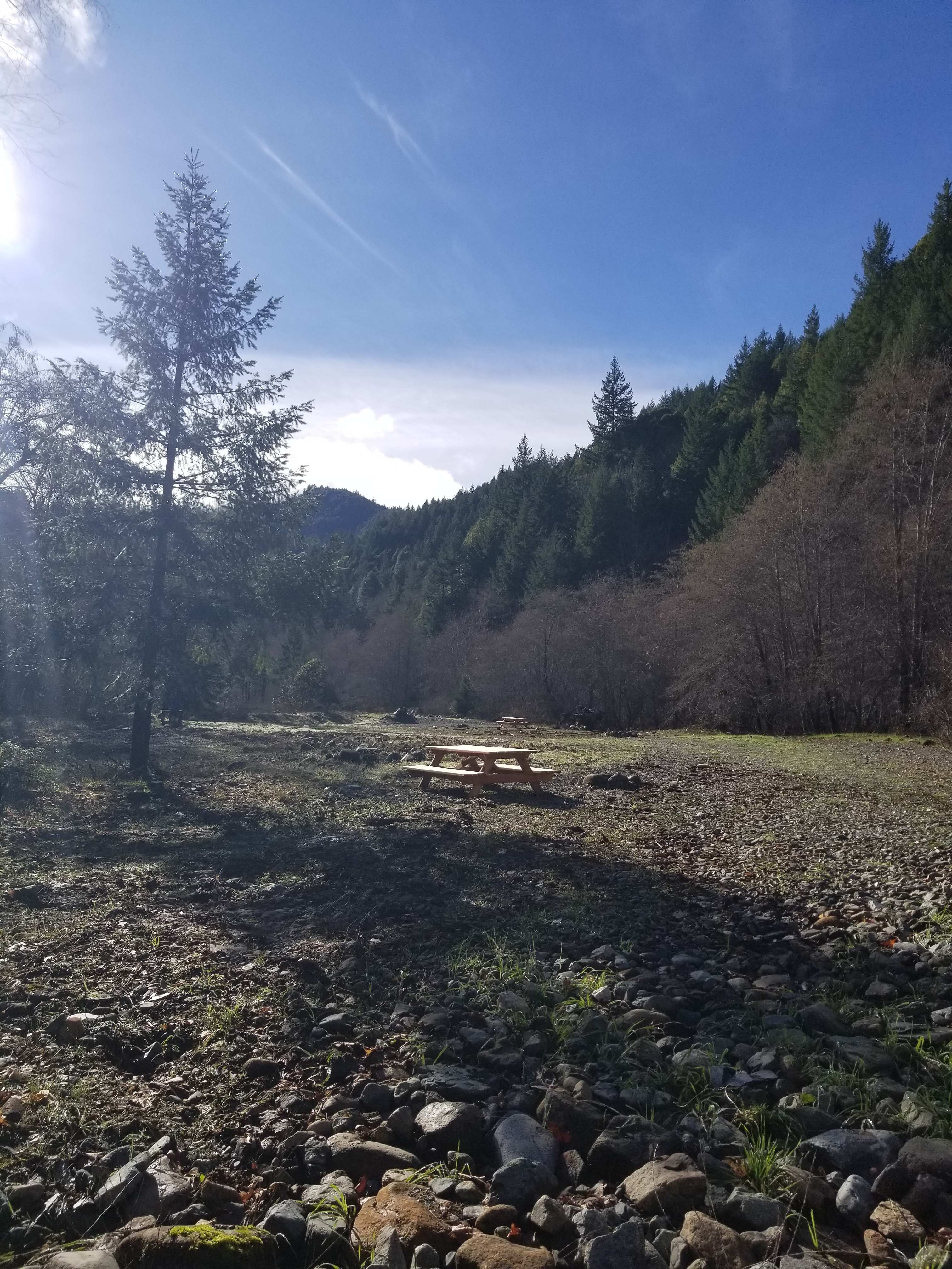 Picture of the site