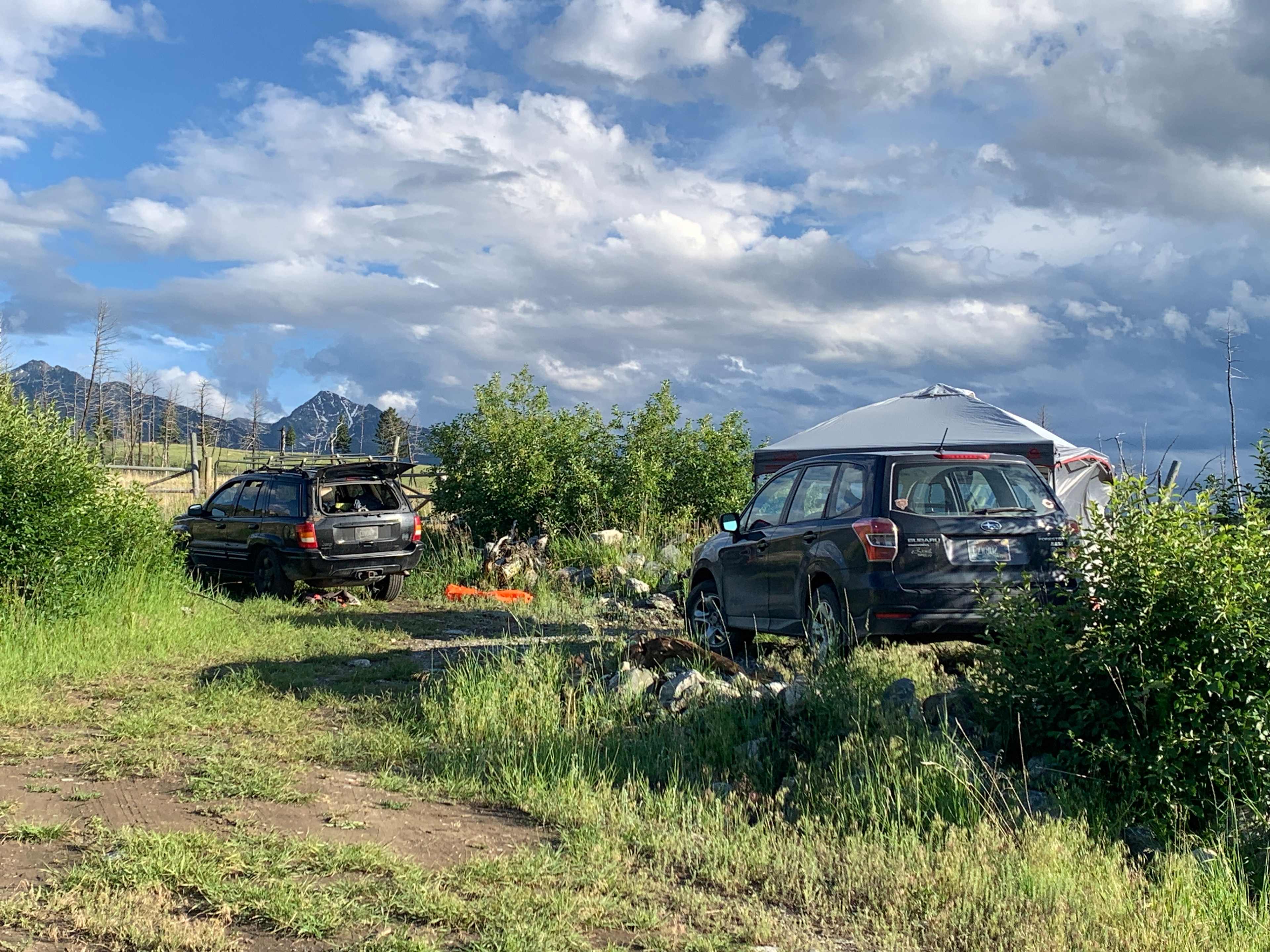 Picture of the site