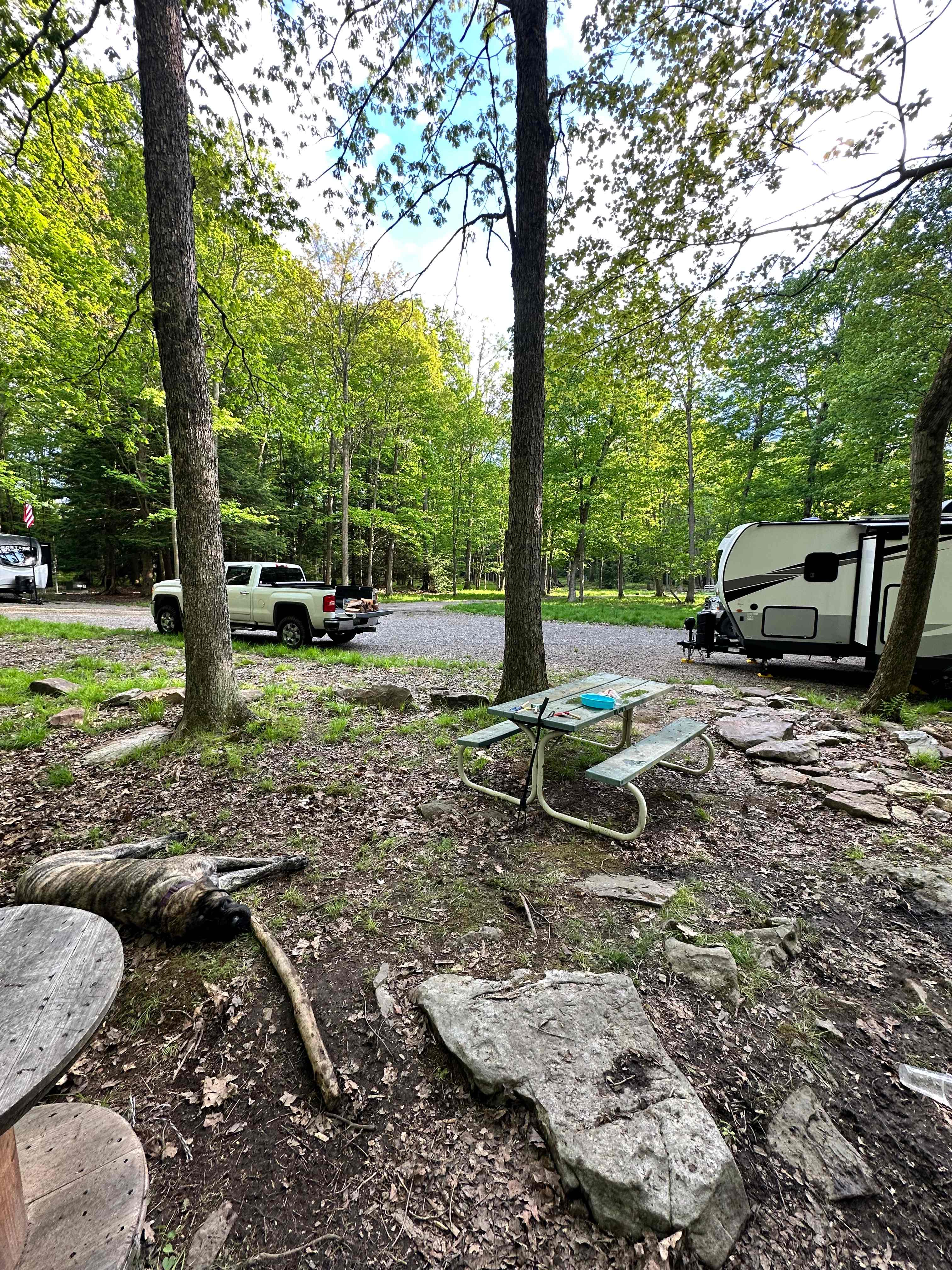 Picture of the site
