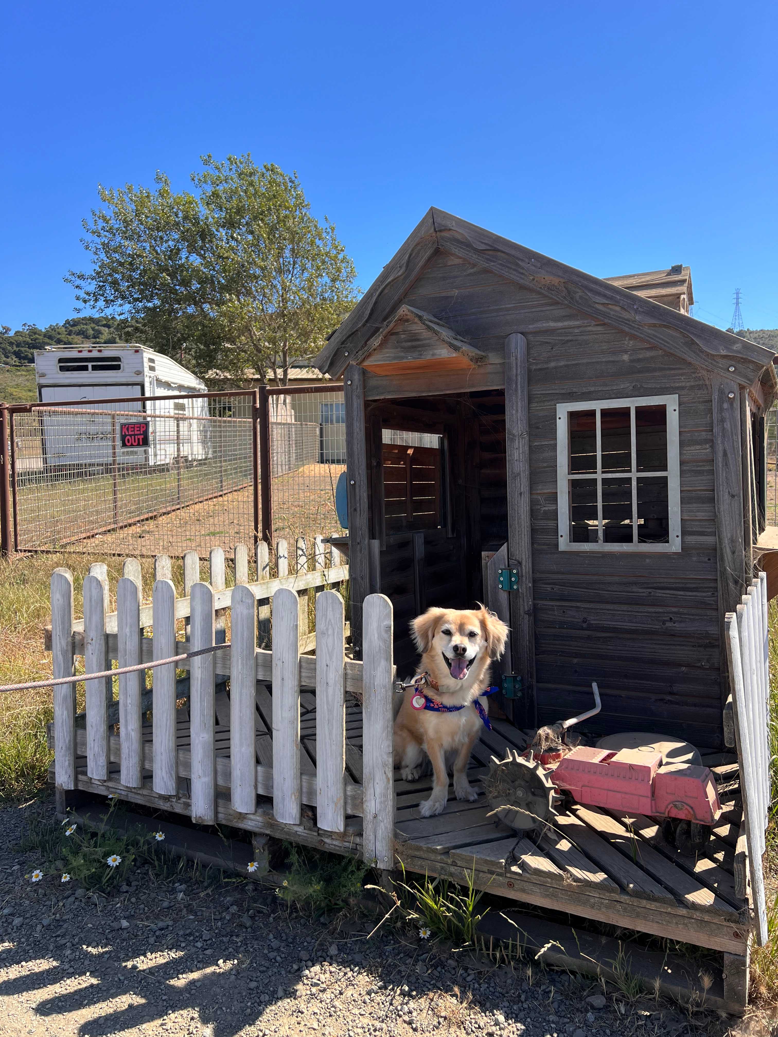 Organic farm and horse camp