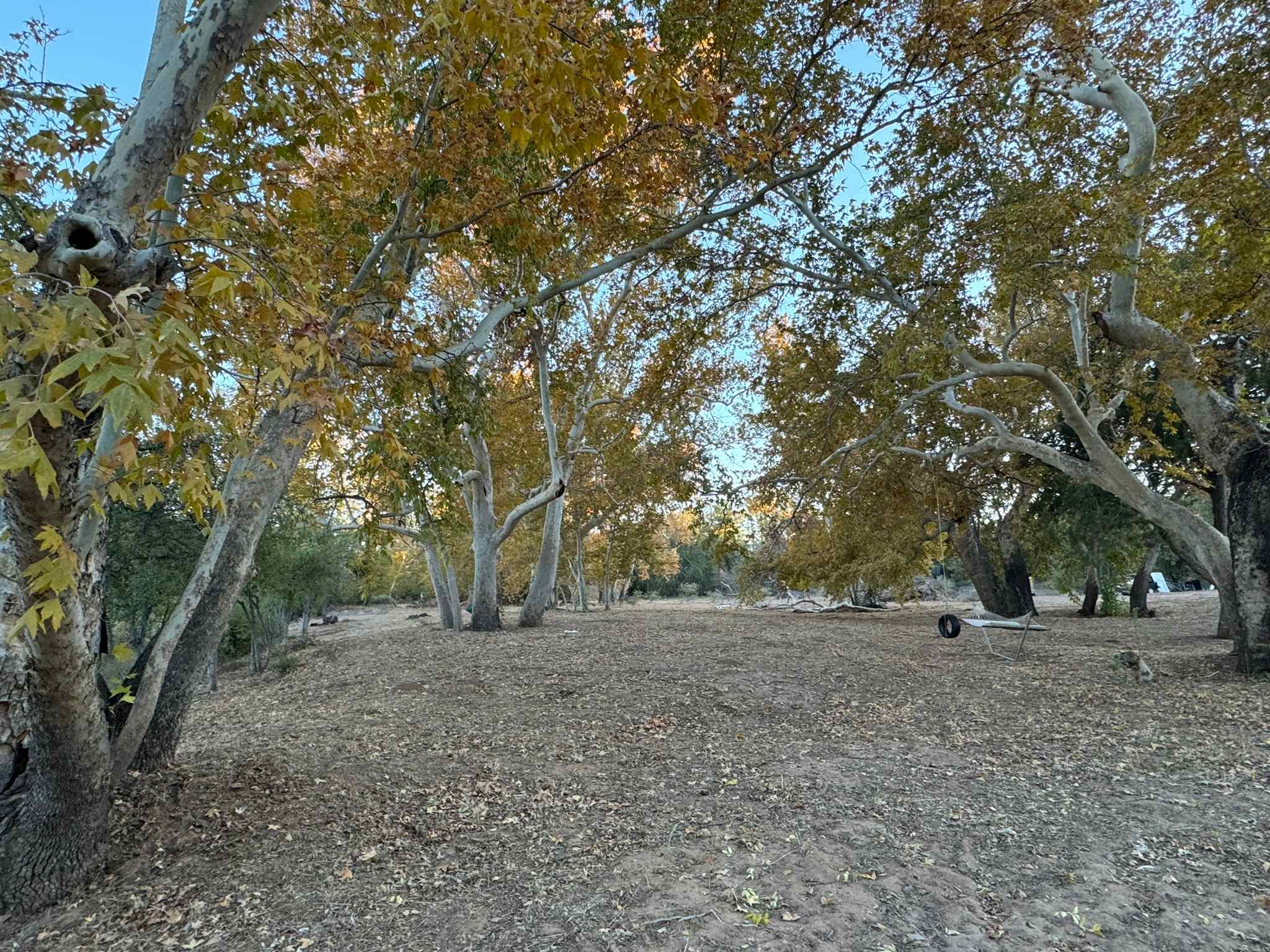 Creekside Retreat on 3 Acres!